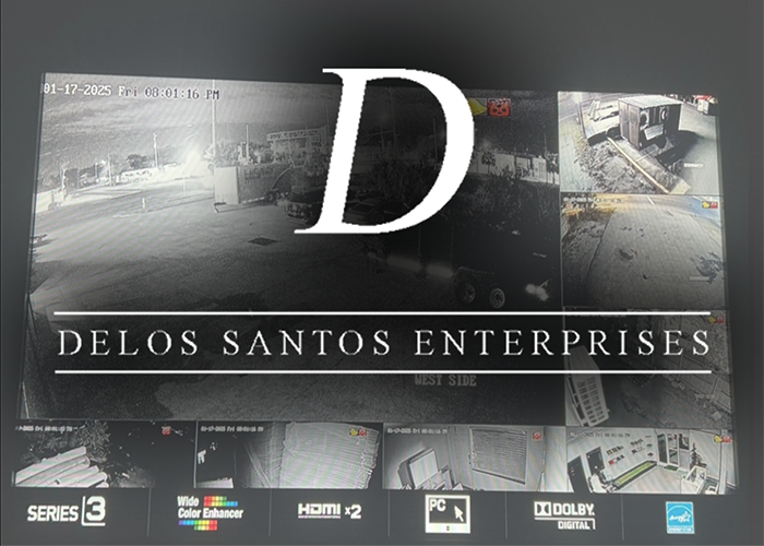 Delos Santos Enterprises Services